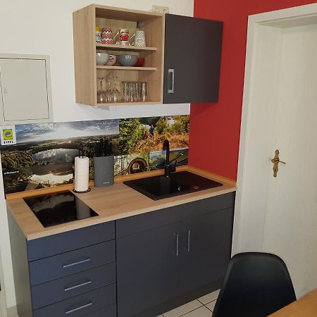 Zimmerappartement "Rose" - Ferienwohnungen Wagner & Gaul Daleiden Dış mekan fotoğraf